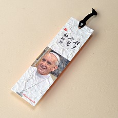 프란시스코 교황 (1)