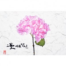그대의 꽃
